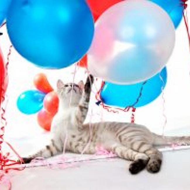 Birthday Party Locations Ideas From Ann Arbor To Detroit Kids